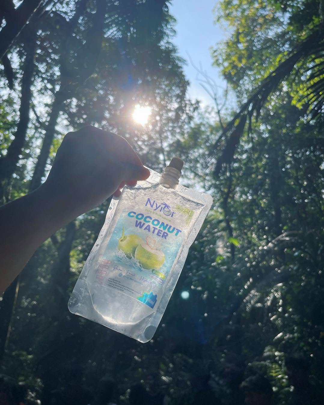 A Nyior coconut water pouch held up against sunlight through the trees